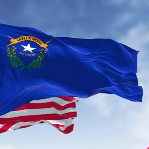 Nevada “Network Security Incident” Shuts Down State Offices and Services AttackFeed by Joe Wagner | Nevada “Network Security Incident” Shuts Down State Offices and Services -
