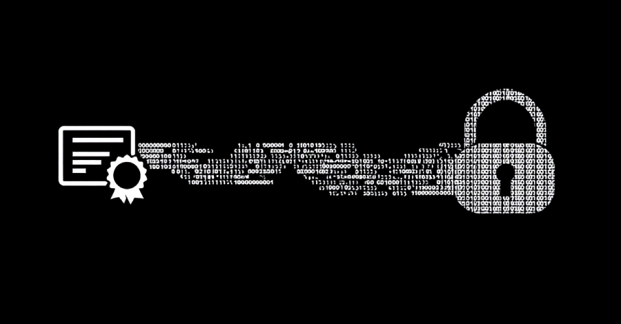 Microsoft Revokes 200 Fraudulent Certificates Used in Rhysida Ransomware Campaign  – The Hacker News