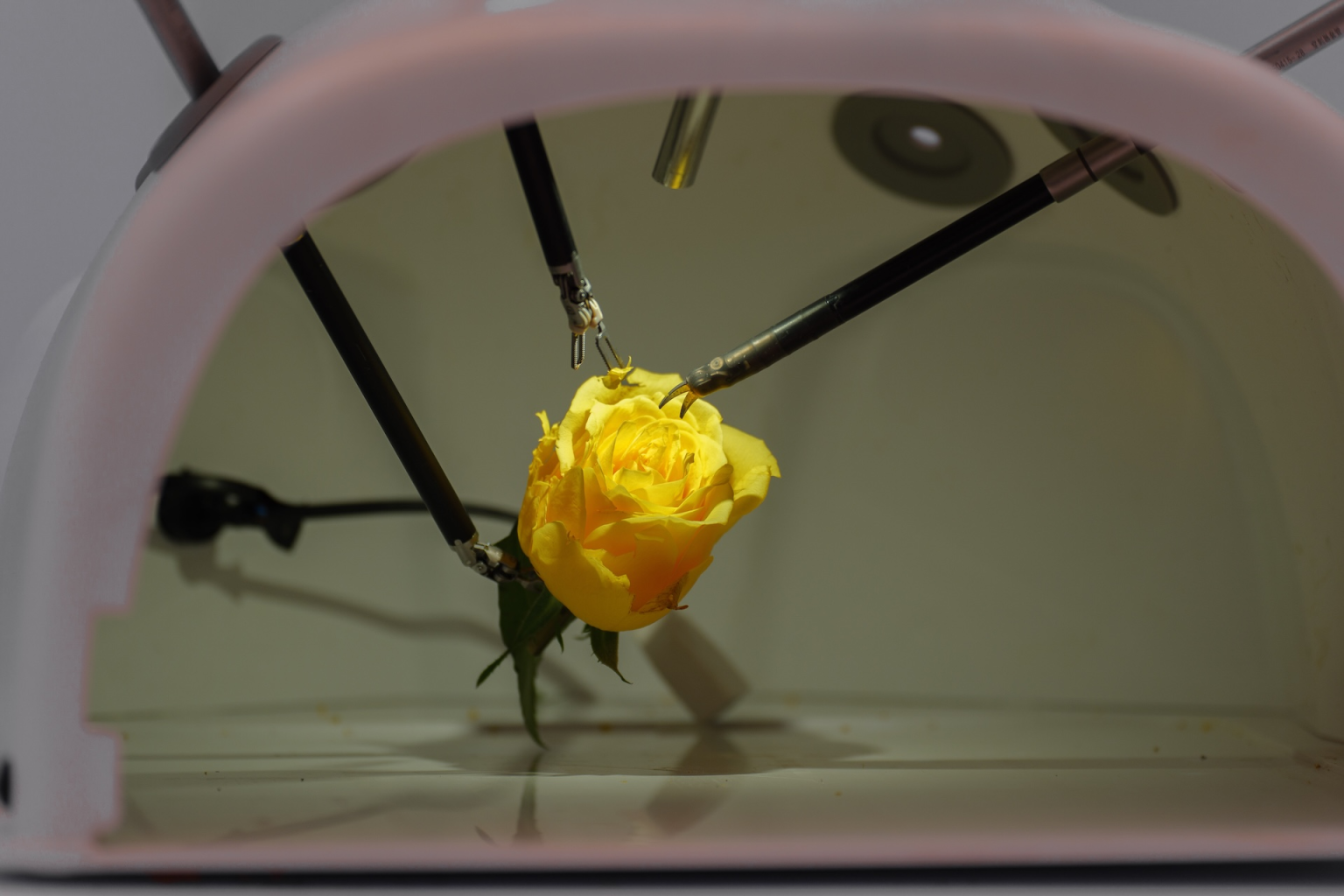 AttackFeed by Joe Wagner | House GOP leaders seek government probe, restrictions on Chinese-made tech  - CyberScoop