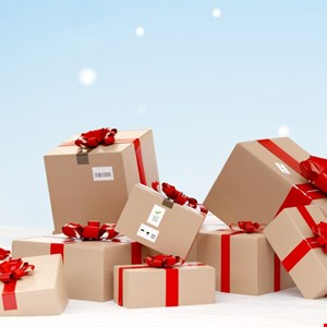 86% Surge in Fake Delivery Websites Hits Shoppers During Holiday Rush –