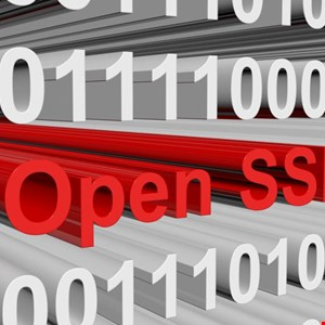 Autonomous System Uncovers Long-Standing OpenSSL Flaws –