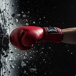 GoBruteforcer Botnet Targets Linux Servers –