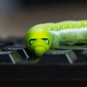 Shai-Hulud-Like Worm Targets Developers via npm and AI Tools –