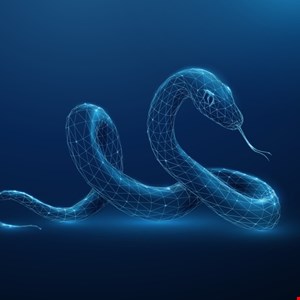 AttackFeed by Joe Wagner | New Venom Stealer MaaS Platform Automates Continuous Data Theft -