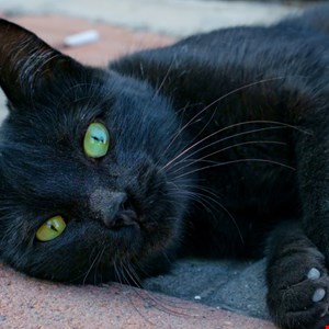 Two American Cybersecurity Workers Jailed for BlackCat Ransomware Attacks –