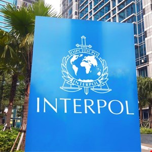 AttackFeed by Joe Wagner | Interpol Launches Sweeping Cybercrime Crackdown in MENA Region -