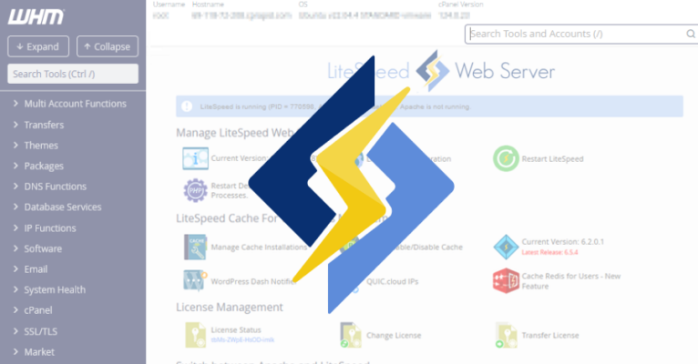 LiteSpeed cPanel Plugin CVE-2026-48172 Exploited to Run Scripts as Root  – The Hacker News